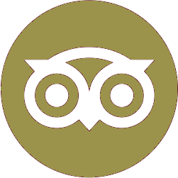 trip advisor